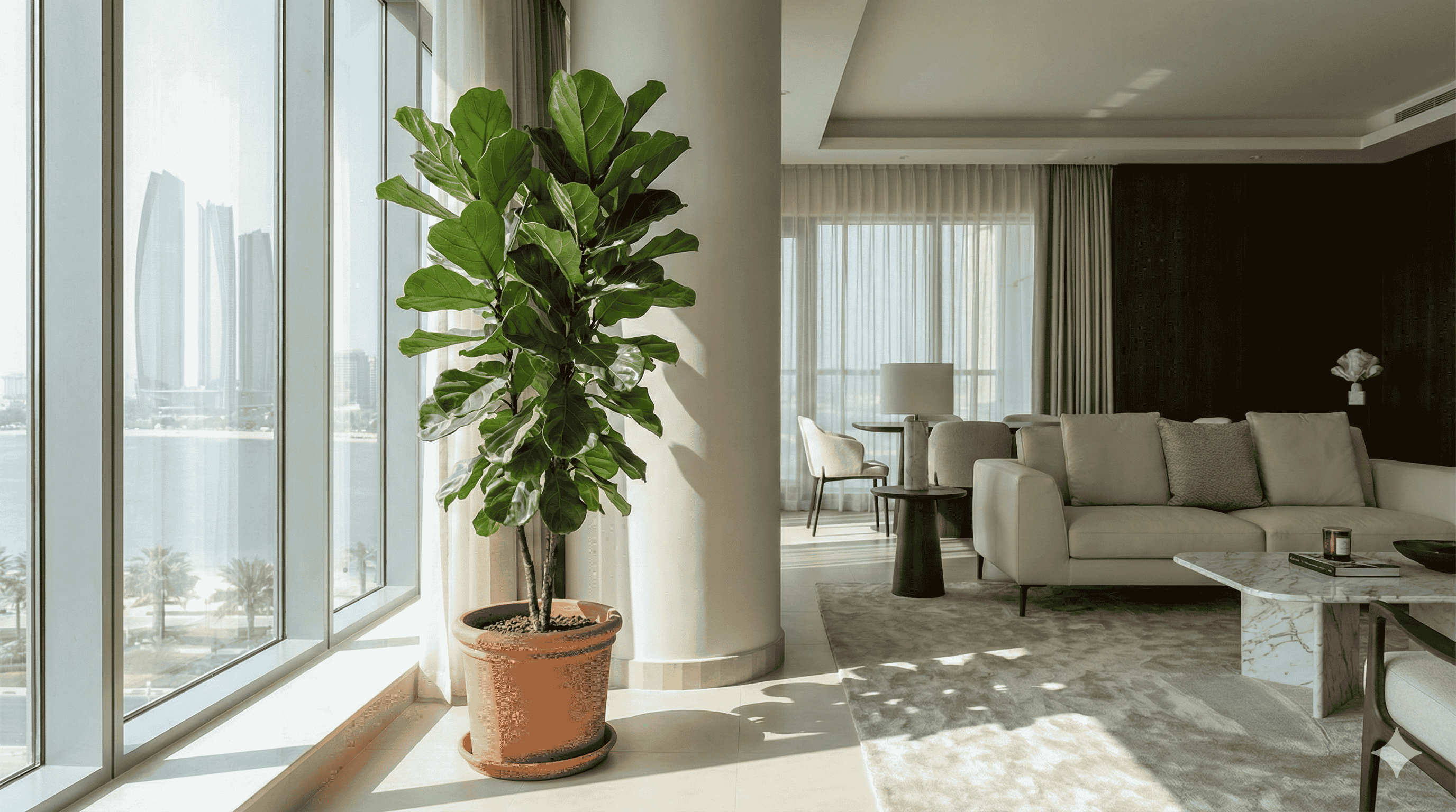 Ixora Gardens - Traditional Plant Nursery Abu Dhabi
